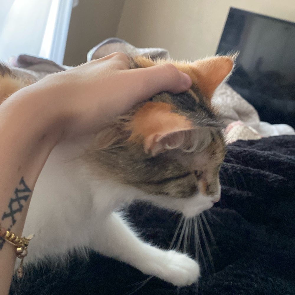 Meet your Posher, Jaidan